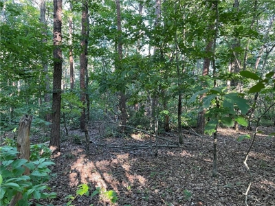 Beautiful Lake Front Property in North Georgia Mountains - image 9
