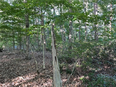 Beautiful Lake Front Property in North Georgia Mountains - image 14