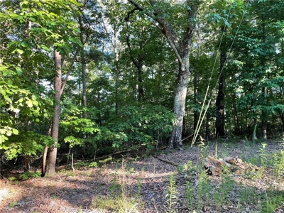 Beautiful Lake Front Property in North Georgia Mountains - image 7