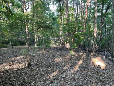 Beautiful Lake Front Property in North Georgia Mountains - image 12