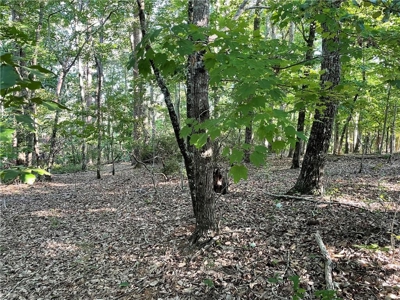 Beautiful Lake Front Property in North Georgia Mountains - image 8