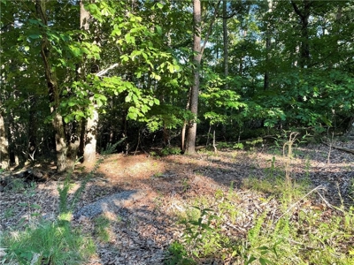 Beautiful Lake Front Property in North Georgia Mountains - image 6