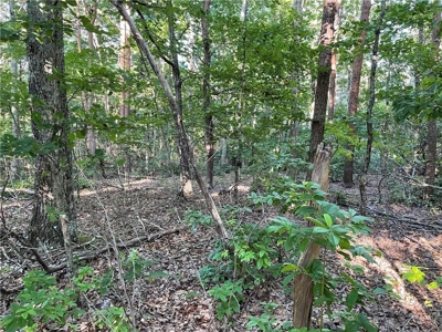 Beautiful Lake Front Property in North Georgia Mountains - image 10