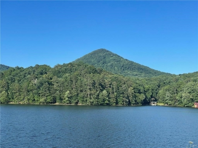 Beautiful Lake Front Property in North Georgia Mountains - image 1
