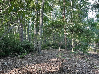 Beautiful Lake Front Property in North Georgia Mountains - image 13
