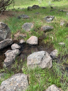 320 AC Grazing or timberland, Joseph Creek Road - image 14