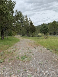 320 AC Grazing or timberland, Joseph Creek Road - image 3