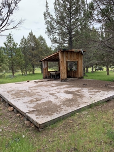 320 AC Grazing or timberland, Joseph Creek Road - image 2