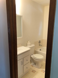 Home in Town For Sale, Int'l Falls MN - image 15