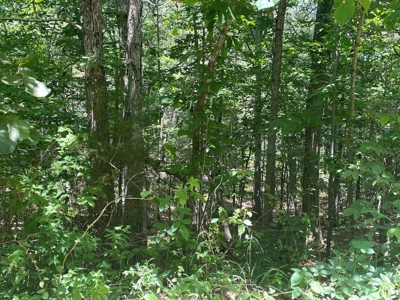 Land For Sale In Shannon County Missouri - image 2