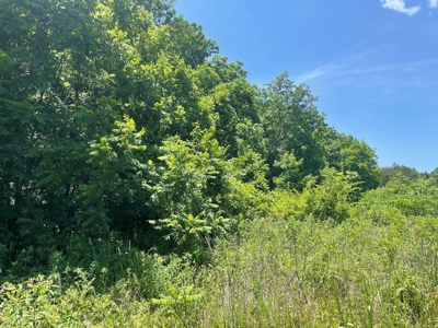 Land For Sale In Shannon County Missouri - image 3