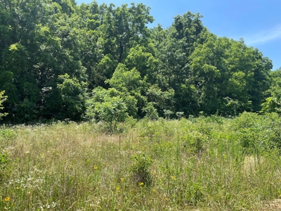 Land For Sale In Shannon County Missouri - image 4