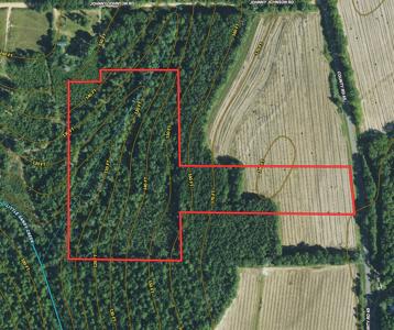 Hunting Land for Sale - Homesite Geneva / Samson Alabama - image 27