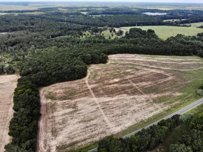 Hunting Land for Sale - Homesite Geneva / Samson Alabama - image 25