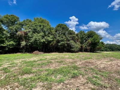 Hunting Land for Sale - Homesite Geneva / Samson Alabama - image 19