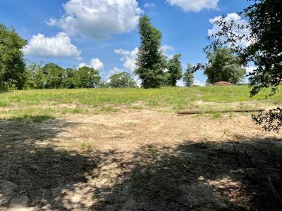 Hunting Land for Sale - Homesite Geneva / Samson Alabama - image 13