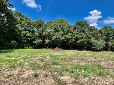 Hunting Land for Sale - Homesite Geneva / Samson Alabama - image 9