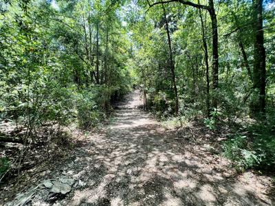 Hunting Land for Sale - Homesite Geneva / Samson Alabama - image 22