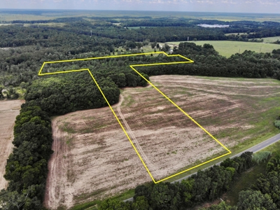 Hunting Land for Sale - Homesite Geneva / Samson Alabama - image 24