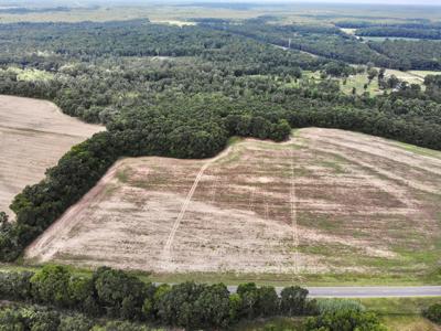 Hunting Land for Sale - Homesite Geneva / Samson Alabama - image 30