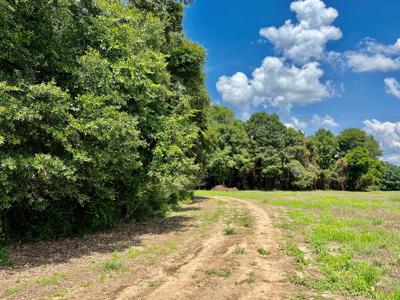 Hunting Land for Sale - Homesite Geneva / Samson Alabama - image 8