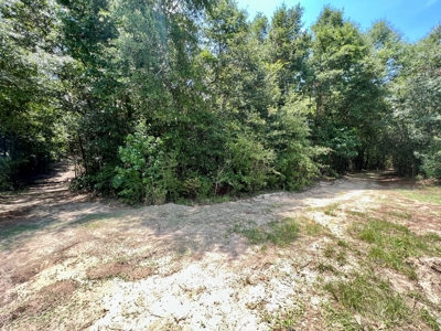 Hunting Land for Sale - Homesite Geneva / Samson Alabama - image 14