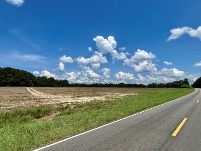 Hunting Land for Sale - Homesite Geneva / Samson Alabama - image 6