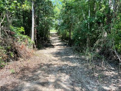 Hunting Land for Sale - Homesite Geneva / Samson Alabama - image 2