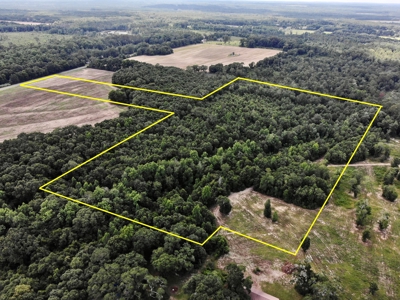 Hunting Land for Sale - Homesite Geneva / Samson Alabama - image 1