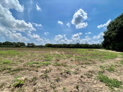 Hunting Land for Sale - Homesite Geneva / Samson Alabama - image 28