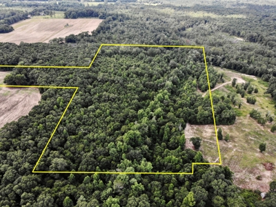 Hunting Land for Sale - Homesite Geneva / Samson Alabama - image 16