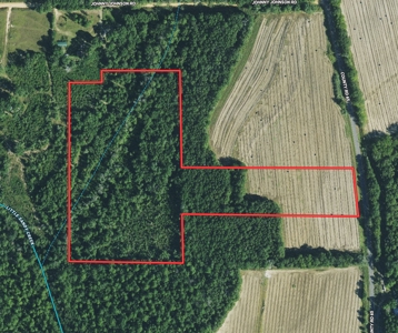 Hunting Land for Sale - Homesite Geneva / Samson Alabama - image 4