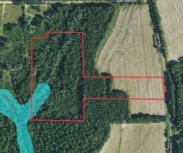 Hunting Land for Sale - Homesite Geneva / Samson Alabama - image 26