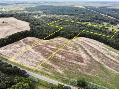 Hunting Land for Sale - Homesite Geneva / Samson Alabama - image 15