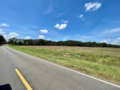 Hunting Land for Sale - Homesite Geneva / Samson Alabama - image 18