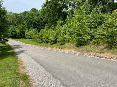 Building Lot near Dale Hollow Lake in Albany, Kentucky - image 1