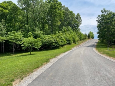 Building Lot near Dale Hollow Lake in Albany, Kentucky - image 2