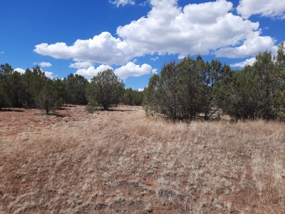 Great Views - image 1