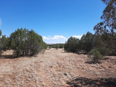 Great Views - image 5