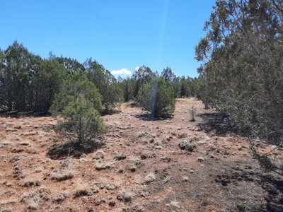 Great Views - image 7