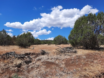 Great Views - image 9