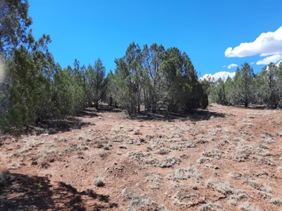 Great Views - image 6