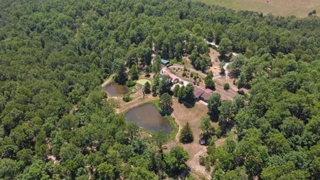 Ranch Style Home On 6.27 Acres With Spring Fed Lake Access - image 3