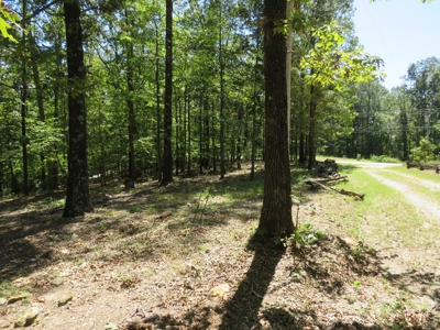 Mobile Home with a great lot - image 4