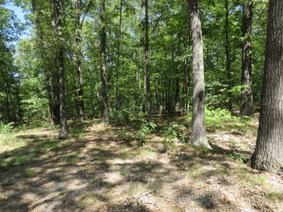 Mobile Home with a great lot - image 9