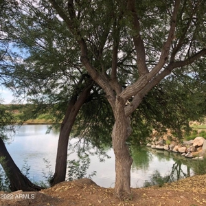Fountain Hills Az Estate Ordered Online Home Auction - image 16
