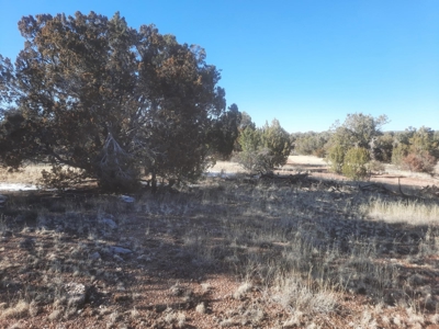 Beautiful Property - image 1