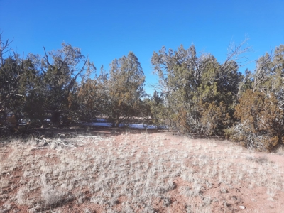 Beautiful Property - image 6