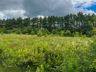 Riverfront Land for Sale - image 13