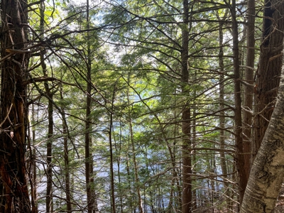 Riverfront Land for Sale - image 6